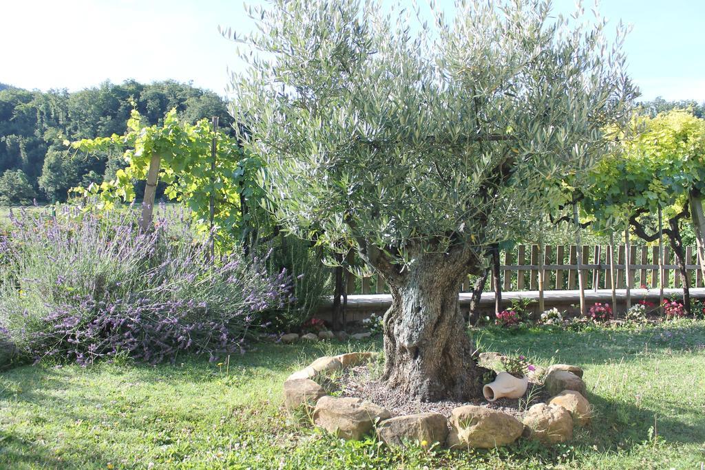 B&B Il Poggetto Serra SantʼAbbondio Exterior foto